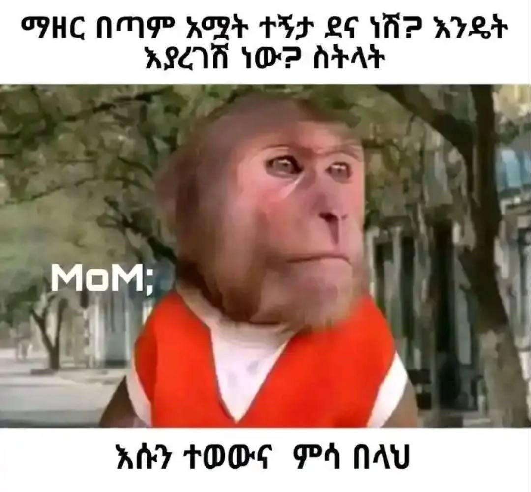 ማዘር በጣም አሟት ተኝታ ደና ነሸዎ አንዴት እያረገሸ ነው አሱን ተወውና ምሳ በላህ IHC NMP KR THF £6 VIP KIST RECA 108 nh TODS PA NAV